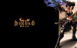 Diablo_2_assassin_widescreen_by_leflo08