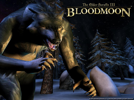Elder Scrolls III: Morrowind, The - Я злой и страшный серый волк, я в идиотах знаю толк!