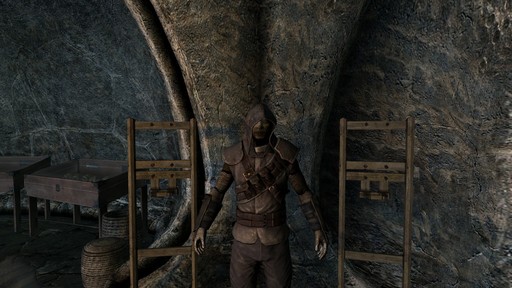 Elder Scrolls V: Skyrim, The - Dragonborn. Гайд по уникальным доспехам